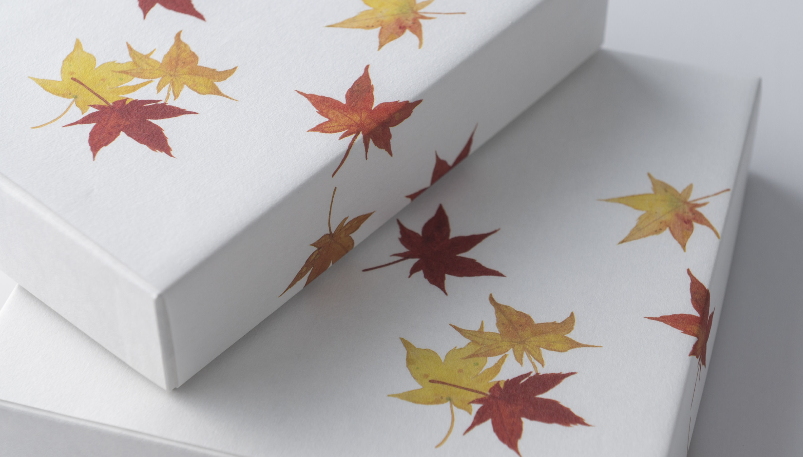 色付く季節 紅葉